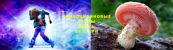 прущая мука Переславль-Залесский